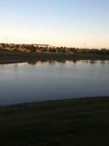 PondWalk