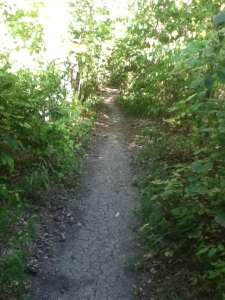 WoodWalk2